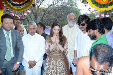 Bengal Tiger Movie Opening